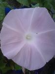20110810030028.jpg